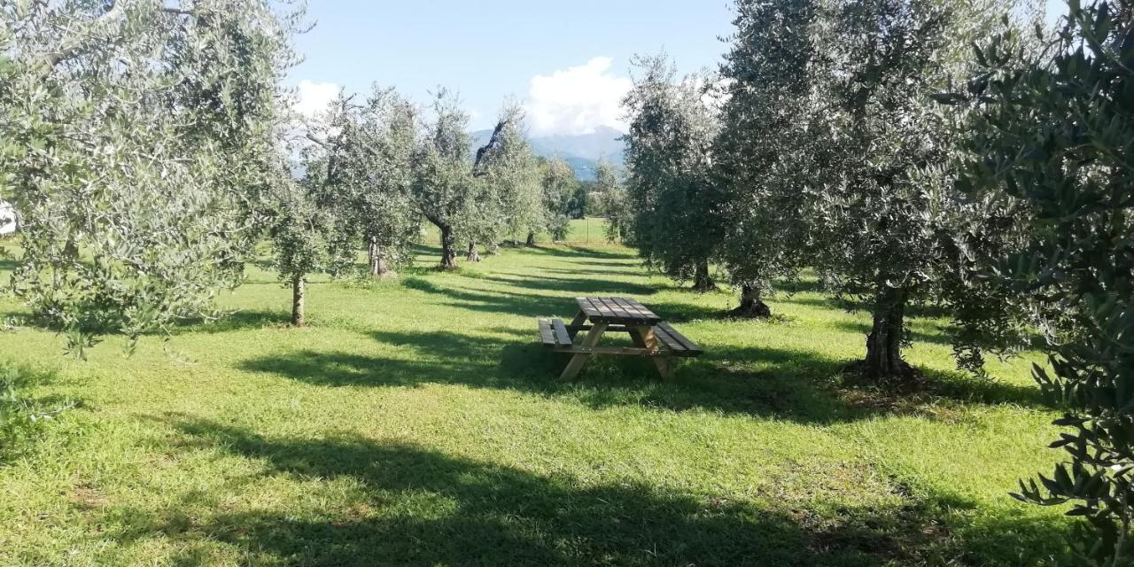 Willa Agriturismo Fioralba Polpenazze del Garda Zewnętrze zdjęcie