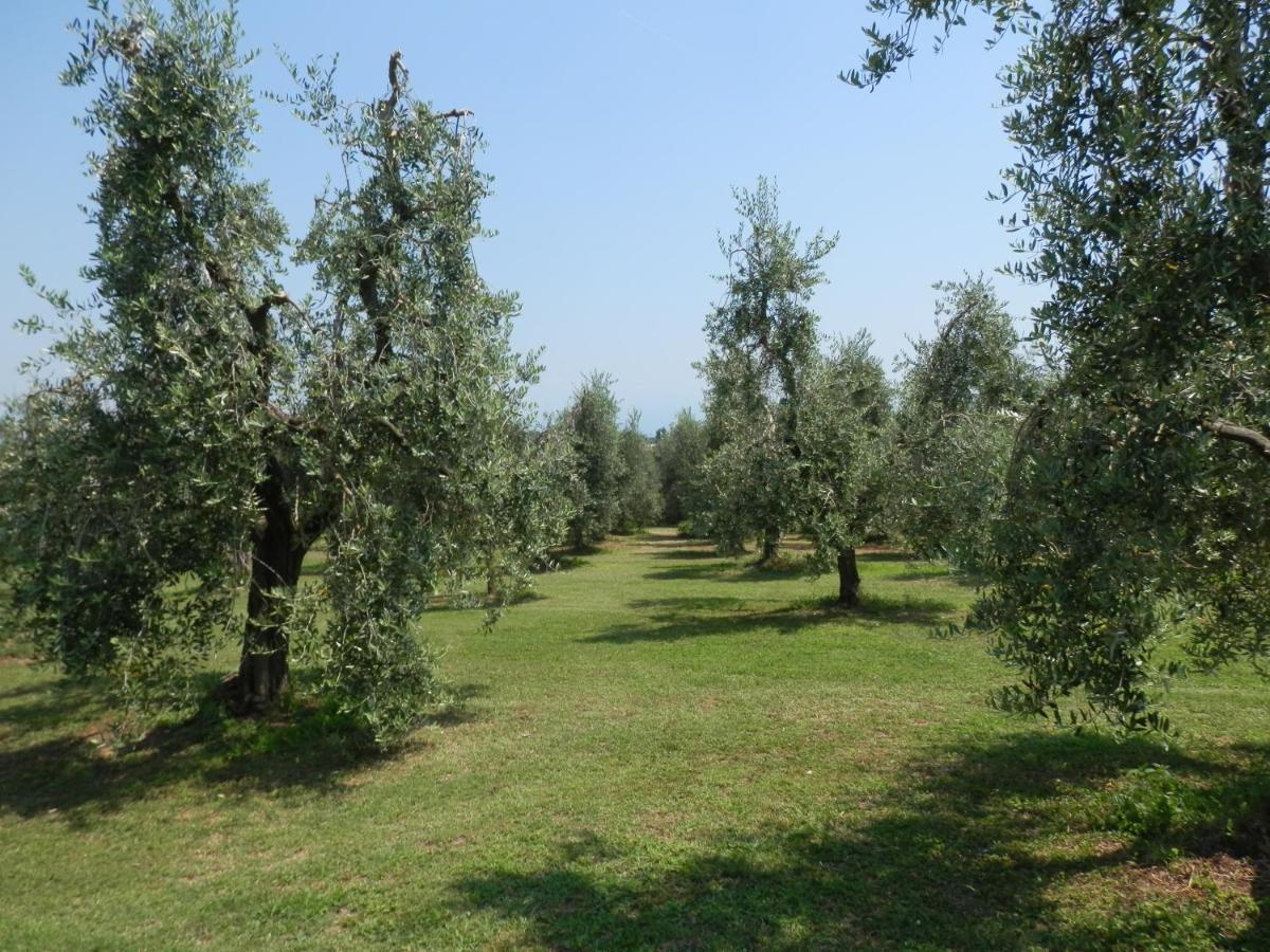 Willa Agriturismo Fioralba Polpenazze del Garda Zewnętrze zdjęcie