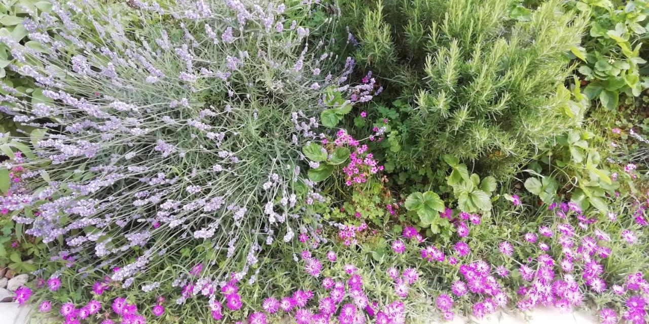 Agriturismo Fioralba Polpenazze del Garda Zewnętrze zdjęcie