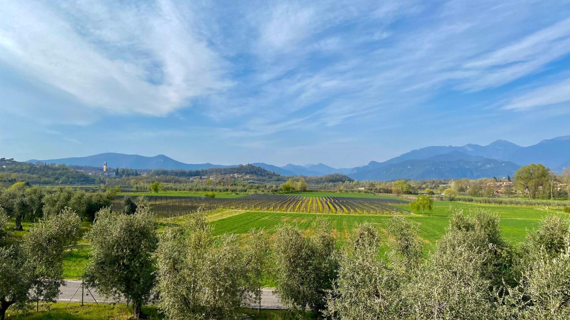 Willa Agriturismo Fioralba Polpenazze del Garda Zewnętrze zdjęcie