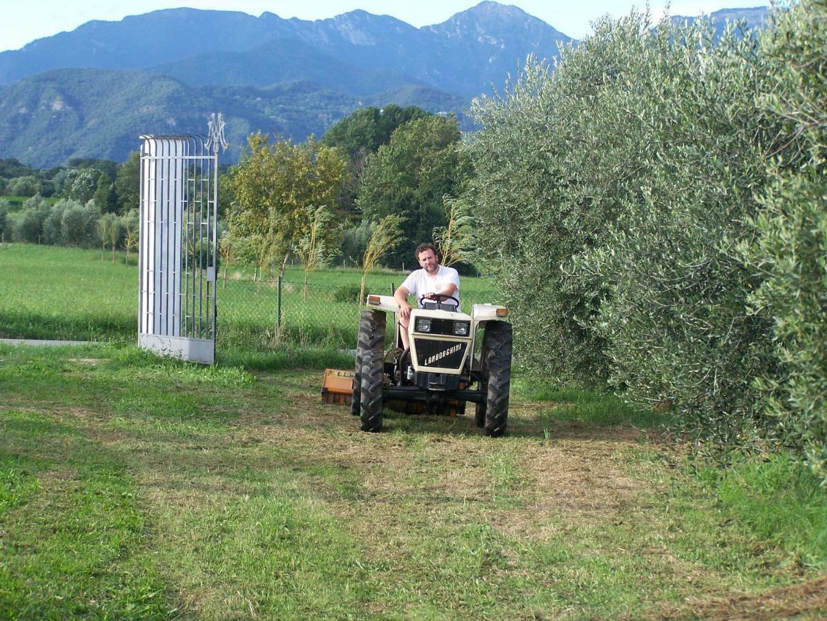 Willa Agriturismo Fioralba Polpenazze del Garda Zewnętrze zdjęcie