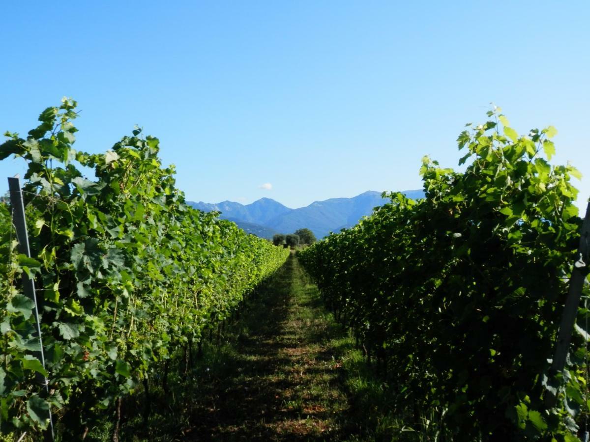 Willa Agriturismo Fioralba Polpenazze del Garda Zewnętrze zdjęcie