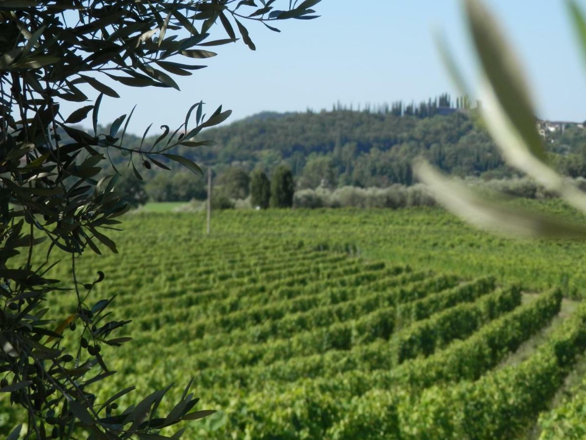 Agriturismo Fioralba Polpenazze del Garda Zewnętrze zdjęcie