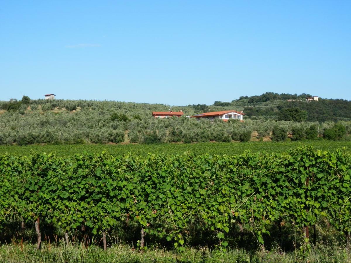 Willa Agriturismo Fioralba Polpenazze del Garda Zewnętrze zdjęcie