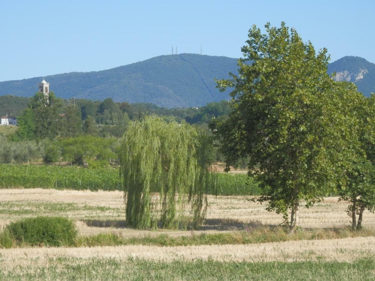 Willa Agriturismo Fioralba Polpenazze del Garda Zewnętrze zdjęcie